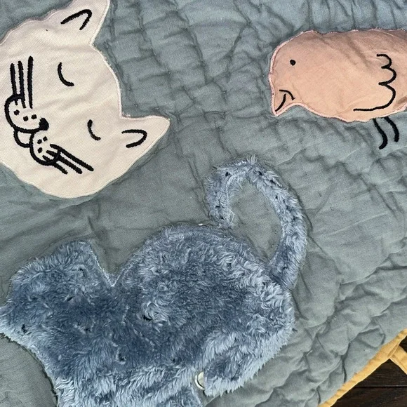 HTF Surprise Friends Baby Activity‎ Play Mat Crate & Barrel Kids